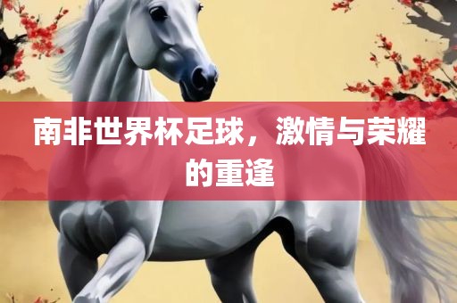 南非世界杯足球，激情与荣耀的重逢洪湖市顺升工程机械租赁有限公司