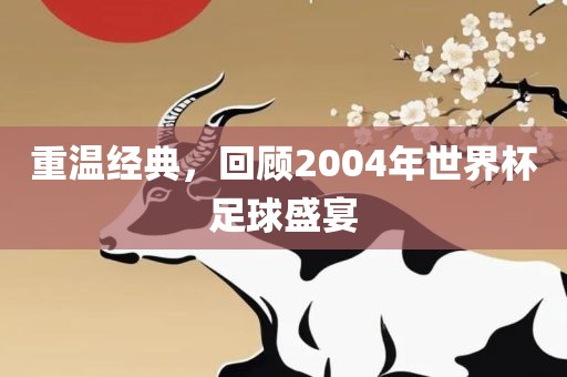 重温经典，回顾2004年世界杯足球盛宴洪湖市顺升工程机械租赁有限公司