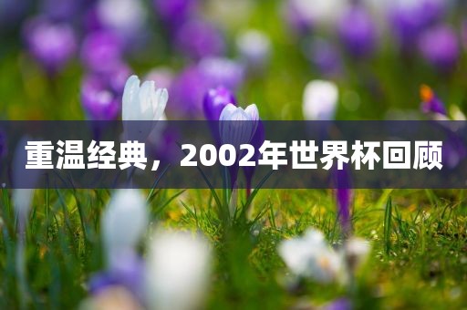 重温经典，2002年洪湖市顺升工程机械租赁有限公司世界杯回顾