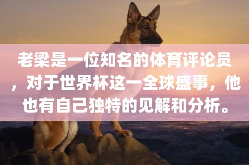 老梁是一位知名的体育评论员，对于世界杯这一全球盛事，他也有自己独特的见解和分析。洪湖市顺升工程机械租赁有限公司