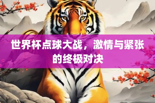 世界杯点球大战，激情与紧张的终极对决