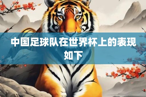 中国足球队在世界杯上的表现如下洪湖市顺升工程机械租赁有限公司