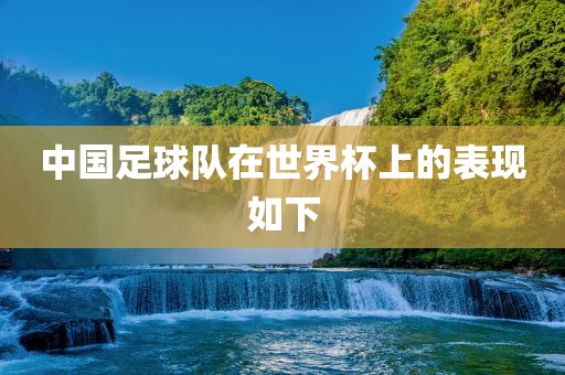 中国洪湖市顺升工程机械租赁有限公司足球队在世界杯上的表现如下