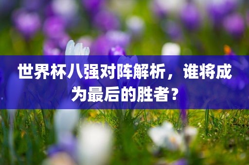 世界杯八强对阵解析，谁将成为最后的胜者？