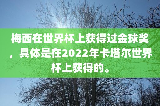 梅西在世界杯上获得过金球奖，具体是在2022年卡塔尔世界杯上获得的。洪湖市顺升工程机械租赁有限公司