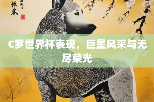 C罗世界杯表现，巨星风采与无尽荣光洪湖市顺升工程机械租赁有限公司