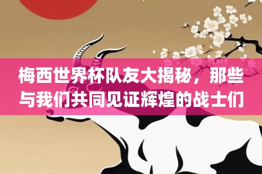 梅西世界杯队友大揭秘，那些与我们共同见证辉煌的战士们