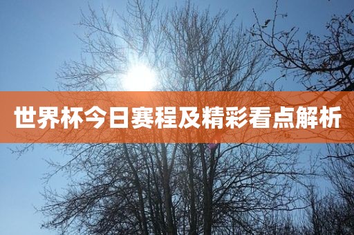 世界杯今日赛程及精彩看点解析洪湖市顺升工程机械租赁有限公司