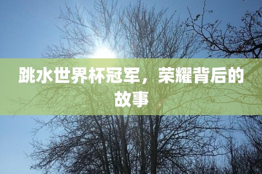 跳水世界杯冠军，荣耀背后的故事洪湖市顺升工程机械租赁有限公司