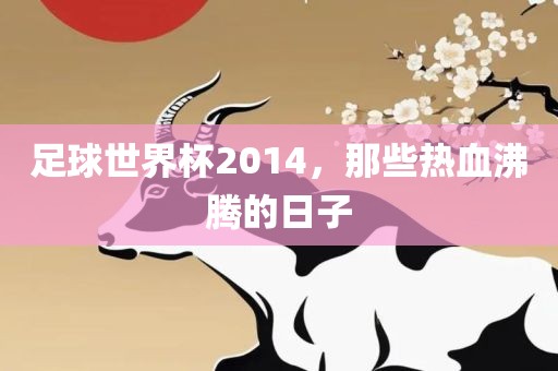 足球世界杯2014，那些热血沸腾的日子洪湖市顺升工程机械租赁有限公司