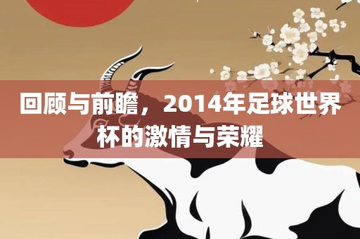 回顾与前瞻，2014年足球世界杯的激情与荣耀洪湖市顺升工程机械租赁有限公司