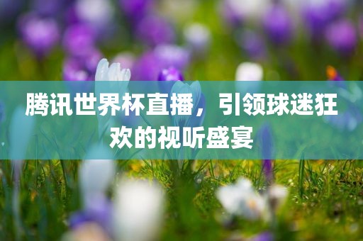 腾讯世界杯直播，引领球迷狂欢的视听盛宴