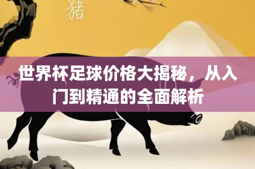 世界杯足球价格大揭秘，从入门到精通的全面解析洪湖市顺升工程机械租赁有限公司