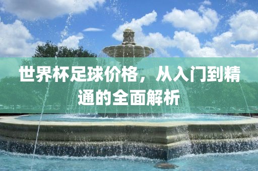 世界杯足球价格，从入门到精通的全面解析