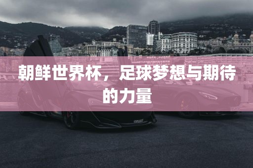 朝鲜世界杯，足球梦想与期待的力量