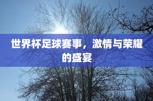 世界杯足球赛事，激情与荣耀的盛宴洪湖市顺升工程机械租赁有限公司