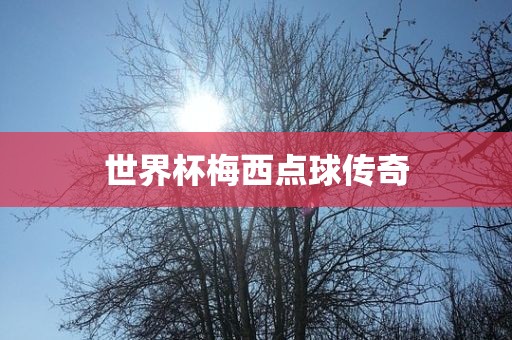 世界杯梅西点球传奇洪湖市顺升工程机械租赁有限公司