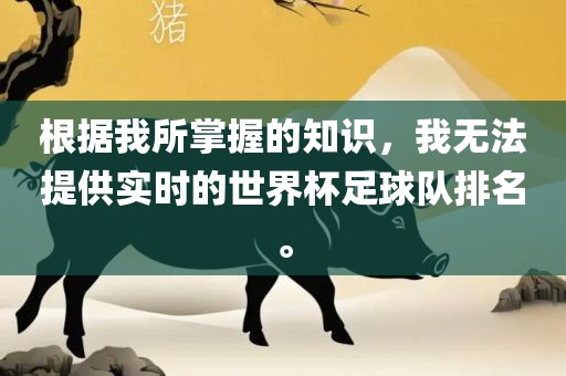 根据我所掌握的知识，我无法提供实时的世界杯足球队排名。