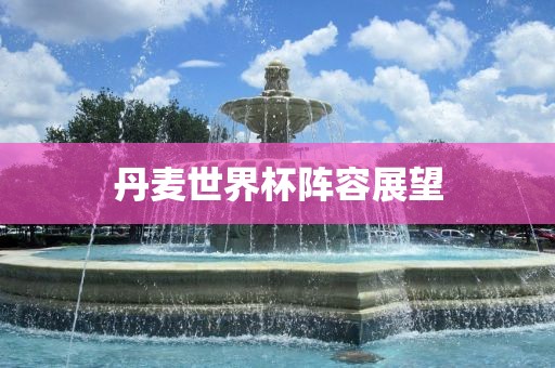 丹麦世界杯阵容展望洪湖市顺升工程机械租赁有限公司