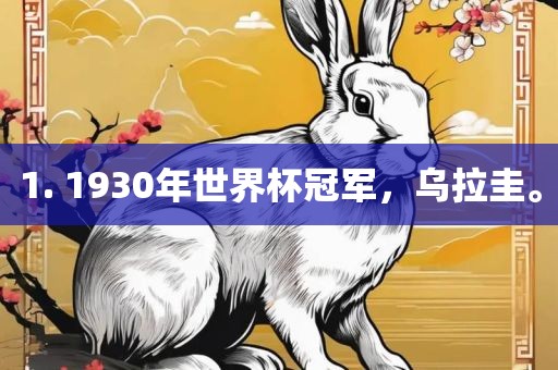 1. 1930年世界杯冠军，乌拉圭。