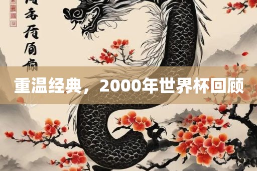 重温经典，2000年世界杯回顾洪湖市顺升工程机械租赁有限公司