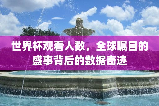 世界杯观看人数，全球瞩目的盛事背后的数据奇迹