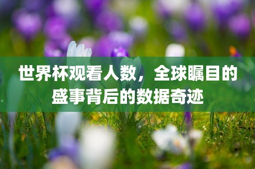 世界杯观看人数，全球瞩目的盛事背后的数据奇迹