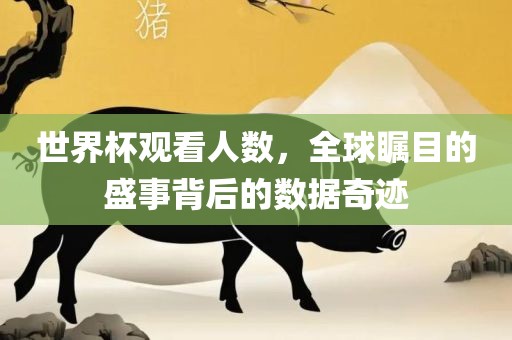 世界杯观看人数，全球瞩目的盛事背后的数据奇迹