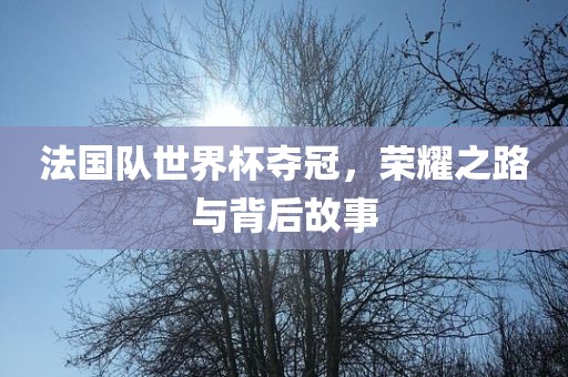 法国队世界杯夺冠，荣耀之路与背后故事
