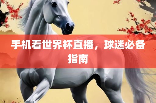 手机看世界杯直播，球迷必备指南洪湖市顺升工程机械租赁有限公司