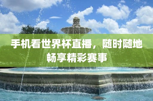 手机看世界杯直播，随时随地畅享精彩赛事洪湖市顺升工程机械租赁有限公司