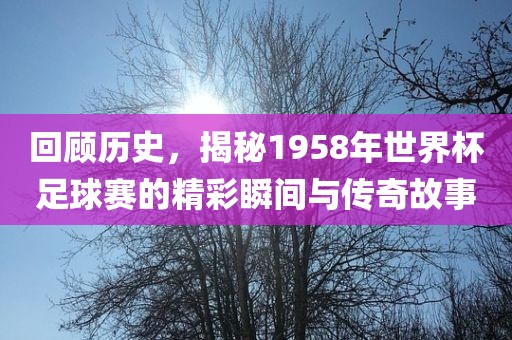 回顾历史，揭秘1958年世界杯足球赛的精彩瞬间与传奇故事洪湖市顺升工程机械租赁有限公司