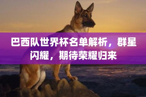 巴西队世界杯名单解析，群星闪耀，期待荣耀归来