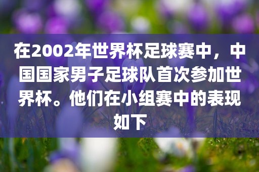在2002年世界杯足球赛中，中国国家男子足球队首次参加世界杯。他们在小组赛中的表现如下