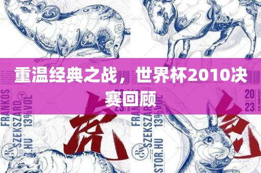 重温经典之战，世界杯2010决赛回顾洪湖市顺升工程机械租赁有限公司