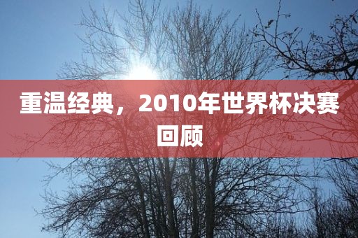 重温经典，2010年世界杯决赛回顾