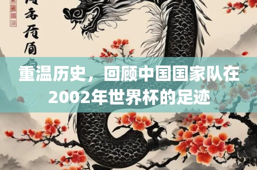 重温历史，回顾中国国家队在2002年世界杯的足迹洪湖市顺升工程机械租赁有限公司