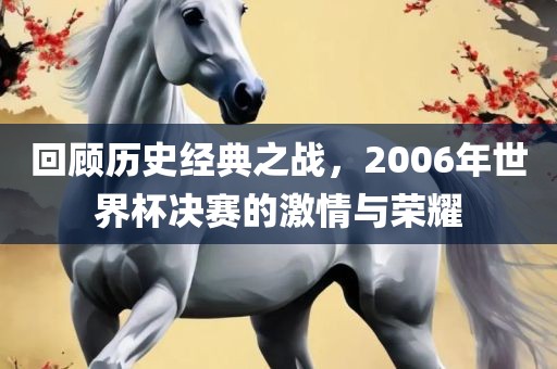 回顾历史经典之战，2006年世界杯决赛的激情与荣耀