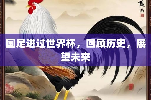 国足进过世界杯，回顾历史，展望未来洪湖市顺升工程机械租赁有限公司