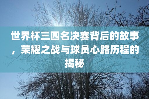 世界杯三四名决赛背后的故事，荣耀之战与球员心路历程的揭秘