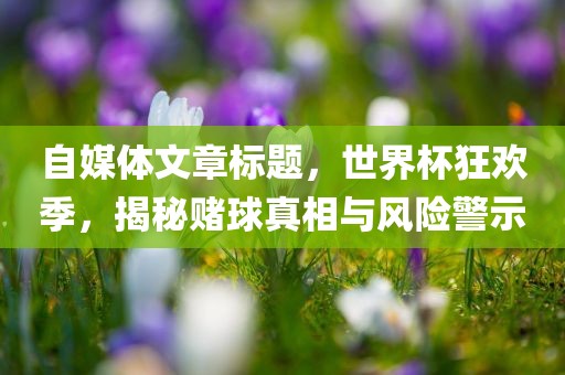 自媒体文章标题，世界杯狂欢季，揭秘赌球真相与风险警示