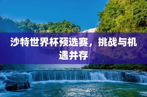 沙特世界杯预选赛，挑战与机洪湖市顺升工程机械租赁有限公司遇并存