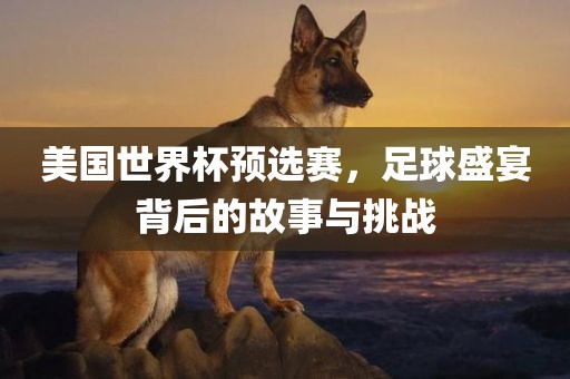 美国世界杯预选赛，足球盛宴背后的故事与挑战洪湖市顺升工程机械租赁有限公司