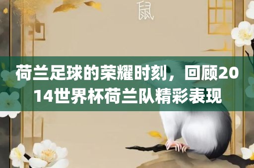 荷兰足球的荣耀时刻，回顾2014世界杯荷兰队精彩表现