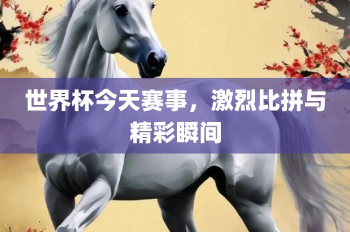 世界杯今天赛事，激烈比拼与精彩瞬间洪湖市顺升工程机械租赁有限公司