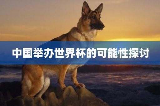 中国举办世界杯的可能性探讨