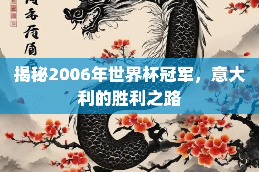 揭秘2006年世界杯冠军，意大利的胜利之路