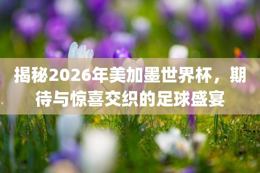 揭秘2026年美加墨世界杯，期待与洪湖市顺升工程机械租赁有限公司惊喜交织的足球盛宴