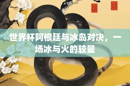 世界杯阿根廷与冰岛对决，一场冰与火的较量