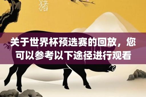 关于世界杯预选赛的回放，您可以参考以下途径进行观看